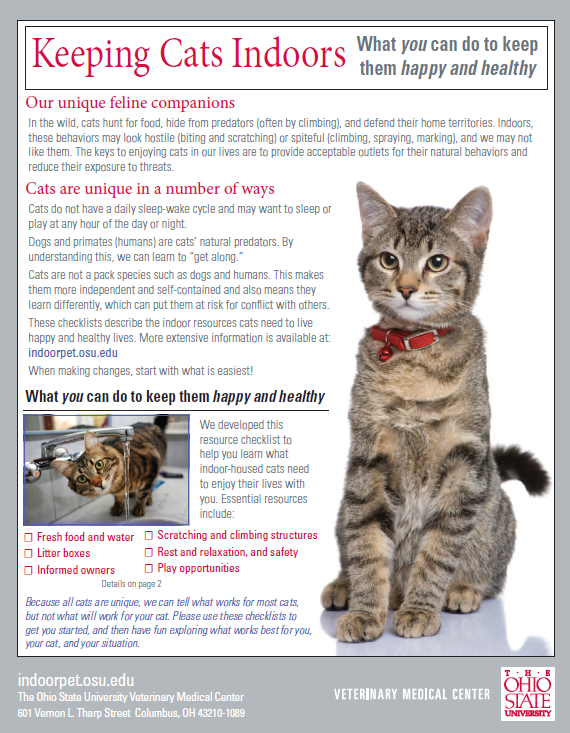 keeping_cats_indoors | Arlington Veterinary Center